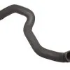 Genuine BMW 11531279895 Radiator Coolant Hose; Lower - BMW | 11531279895EC