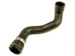 Genuine BMW 11531716642 Radiator Coolant Hose; Lower With Quick-Disconnect - BMW
