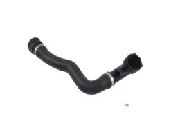Genuine BMW 11537500750 Radiator Coolant Hose; Lower Radiator To Thermostat Housing - BMW | 11531439121