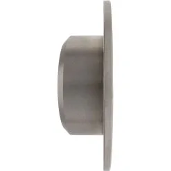 Centric 121.39007 - C-Tek Standard Brake Rotor -Performance Parts shop 121.39007 side 74e8