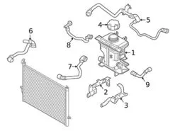 Genuine BMW 17129894787 Engine Coolant Overflow Hose; Left Outer - BMW | 17127536490