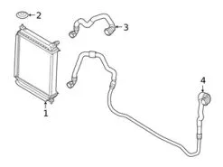 Genuine BMW 17129894789 Radiator Coolant Hose; Right - BMW | 17128654326